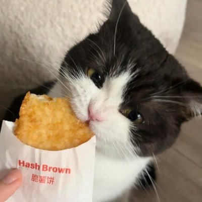评论头像